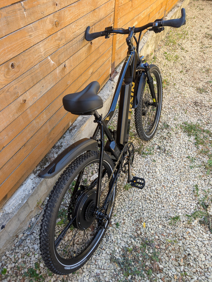 ERSIN HYBRID 1000