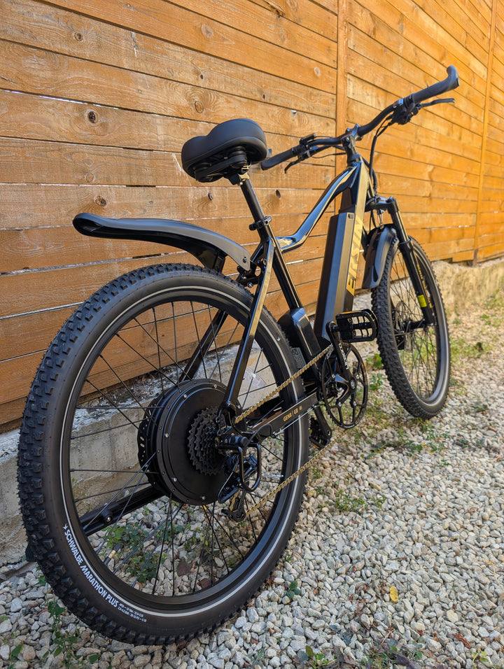 ERSIN HYBRID 1000