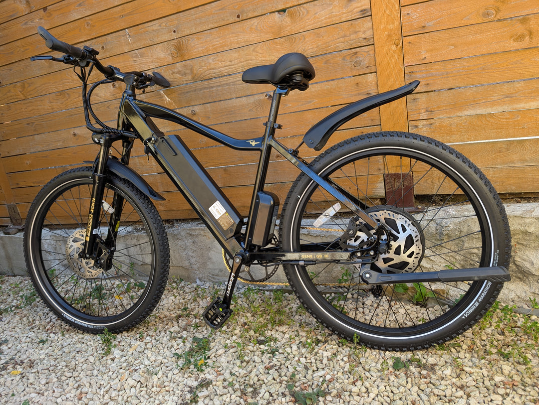 ERSIN HYBRID 1000