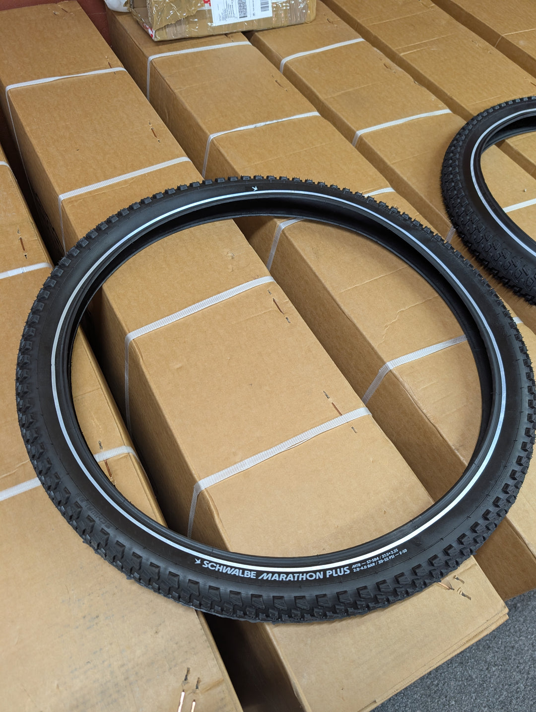 Schwalbe Marathon Pluss MTB tires x2